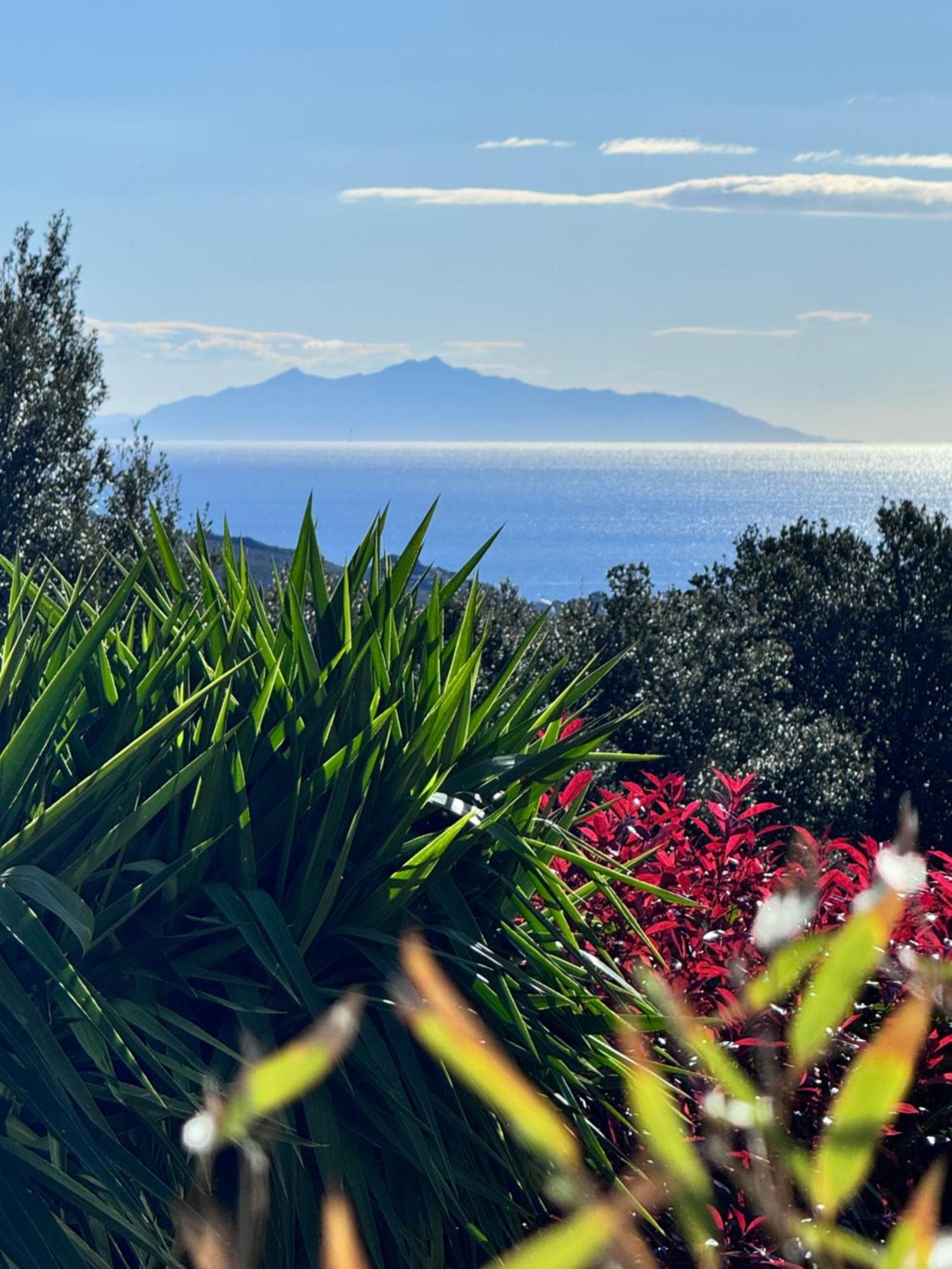 Gite Independant Dans Villa Entre Mer Et Maquis Sisco Exteriör bild